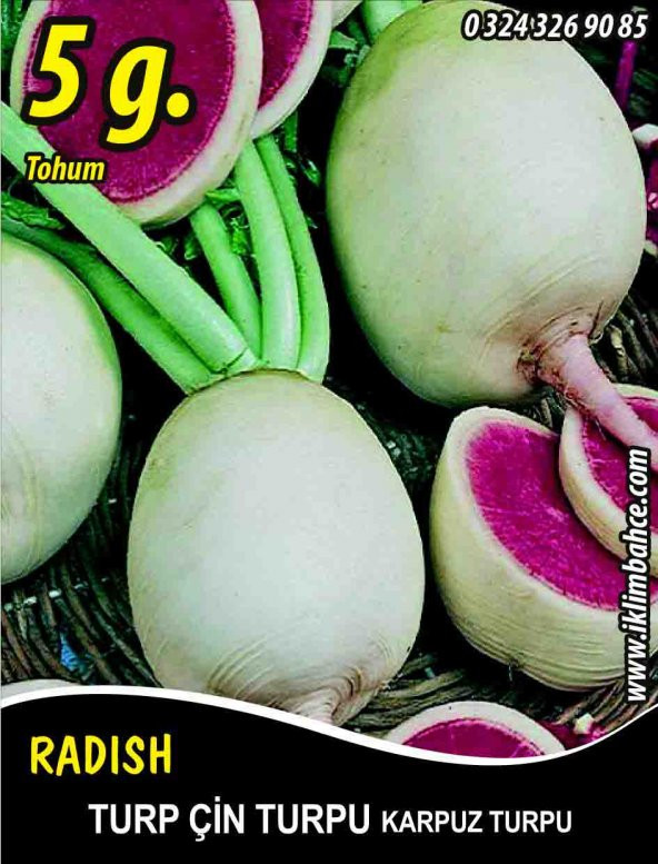 Turp Tohumu Çin Turpu 5 G (~ Takribi 300 Tohum) ürün görseli 1
