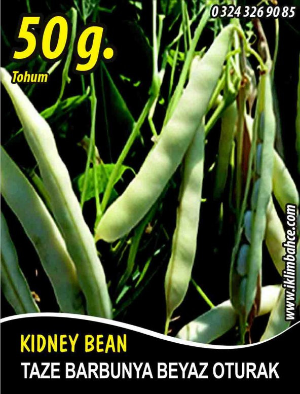 Barbunya Tohumu Karlı Beyaz Oturak 50 g. ürün görseli 1