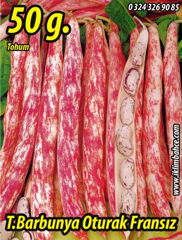 Barbunya Tohumu Oturak Fransız Tipi - 50 gr ürün görseli 1