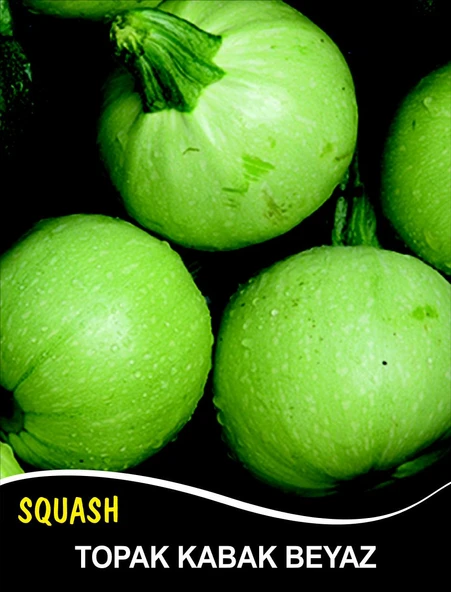 Kabak Tohumu Topak(Bomba) Beyaz - 10 G (~ Takribi 35 Tohum) ürün görseli 1