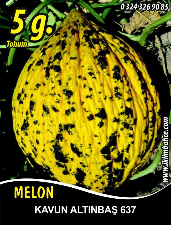 Kavun Tohumu Kırkağaç 637 /- 5 G (~ Takribi 70 Tohum) ürün görseli 1