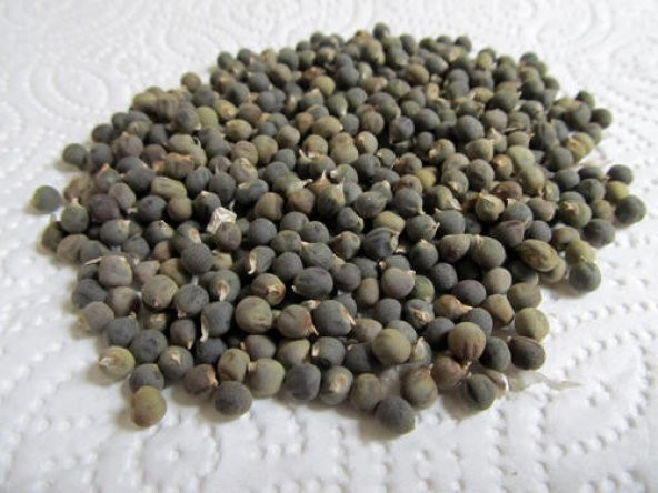 Bamya Tohumu 1 KG - Yerli, şifalık, yenilebilir, kireçlenmeler için ürün görseli 1