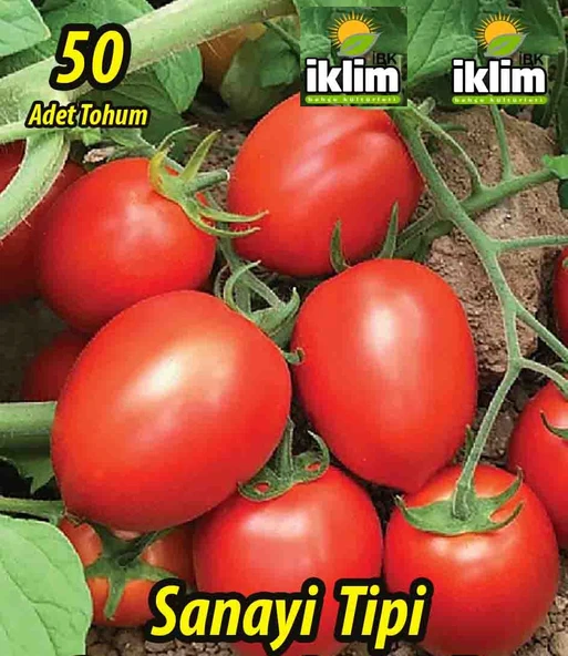 HİBRİT SANAYİLİK DOMATES TOHUMU - 50 ADET TOHUMLUK ürün görseli 1