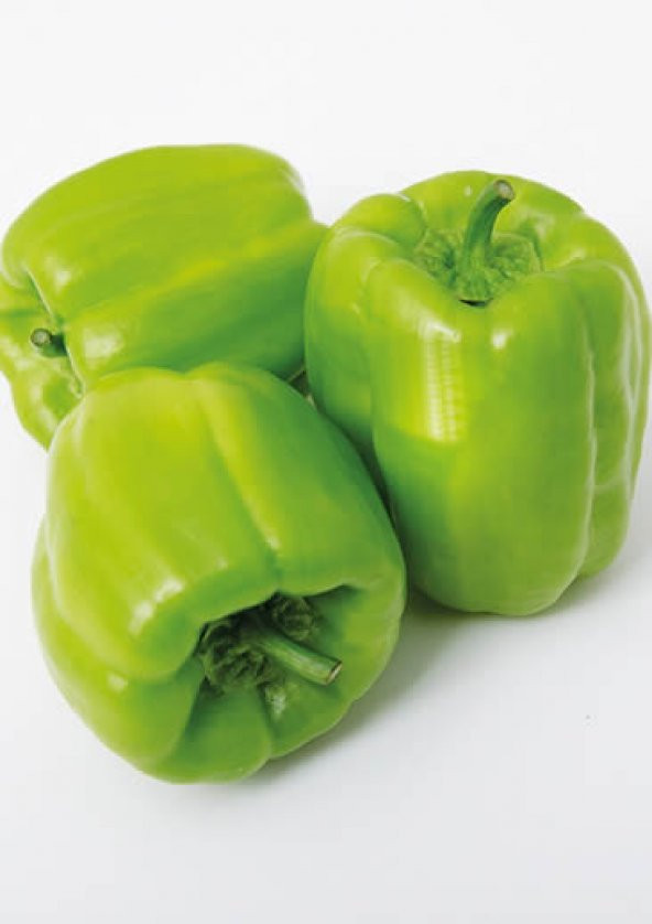 A-Z Tohum Biber Tohumu A-Z 22 F1 Dolma Biber - 20 Adet Tohumluk ürün görseli 1