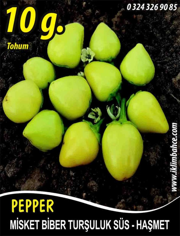 Biber Tohumu Haşmet - Misket - 10G (~ Takribi 800 Tohum) ürün görseli 1