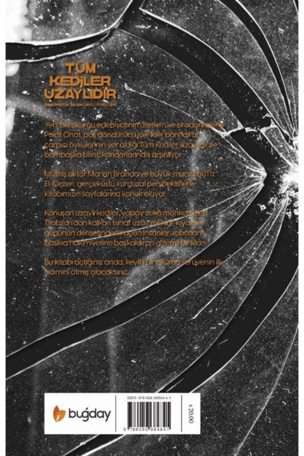 Tüm Kediler Uzaylıdır - Resim 2