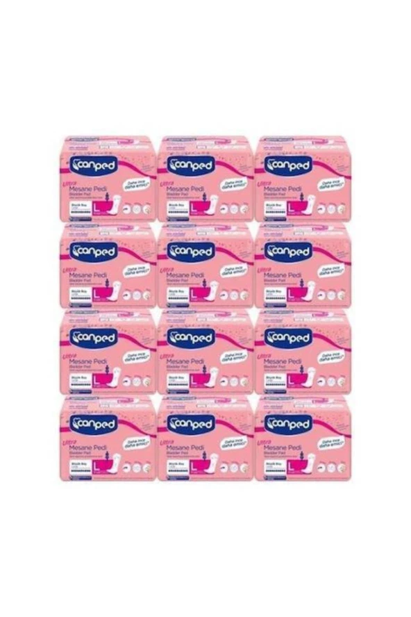 Canped Mesane Pedi Ultra Large Büyük 10 Lu 12 Adet ürün görseli 1