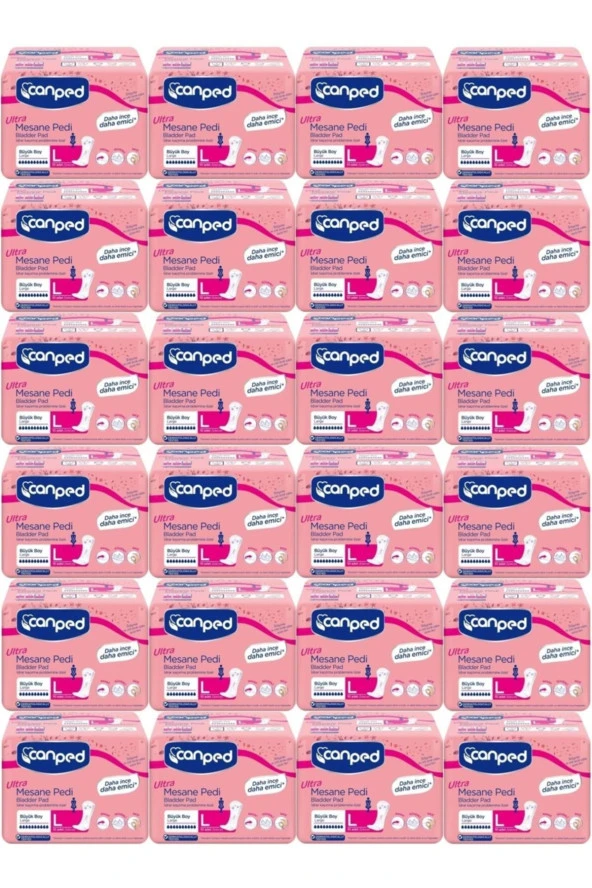 Canped Mesane Pedi Ultra L - Large - Büyük - Yoğun 240 Adet (24PKx10) ürün görseli 1