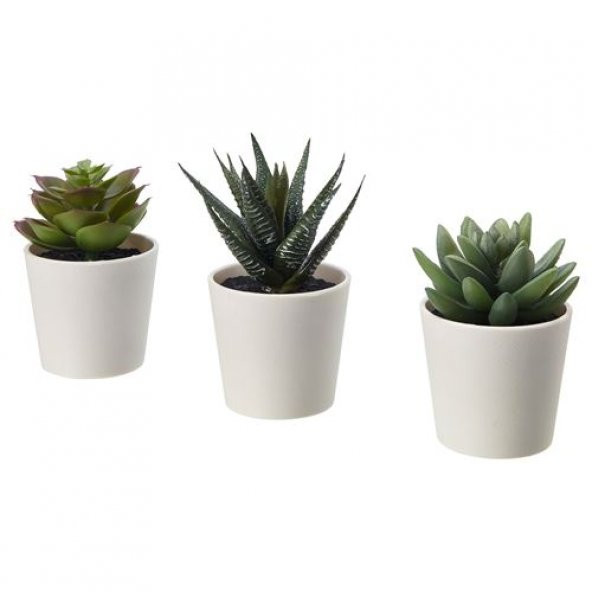 3 Adet Yapay Bitki Kaktüs MeridyenDukkan 6 Cm 3Lü Çiçek Yeşil Kaktüs ürün görseli 1