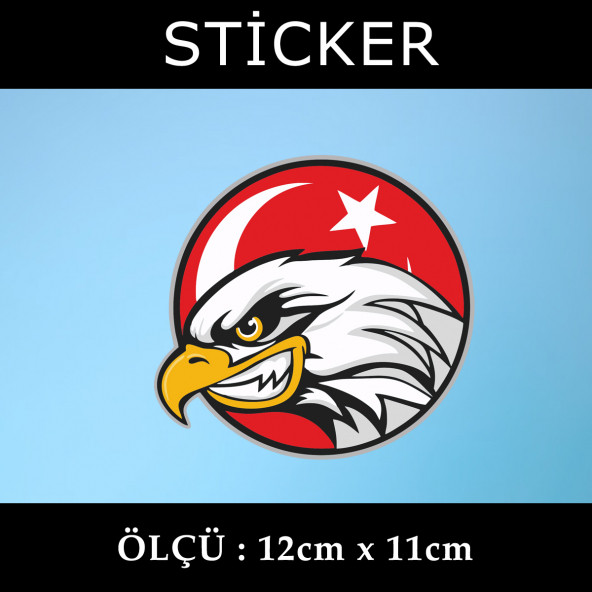 yırtıcı kuş hayvan -  2 ADET sticker araba cam bagaj uyumlu et,ket kask motosiklet dolap cam uyumlu yapışkan ürün görseli 1