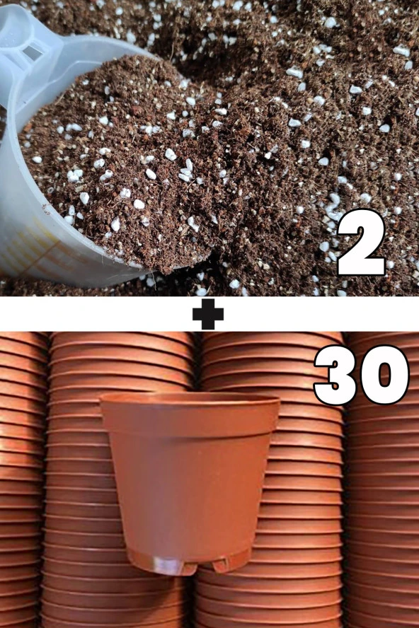 2 litre kaktüs sukulent yetiştirme toprağı ve 30 adet 5.5 cm kaktüs sukulent saksısı ürün görseli 1