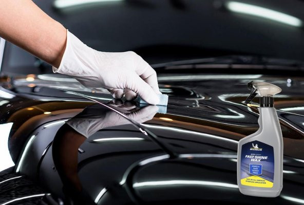 Michelin MC31951 650ml Hızlı Cila - Resim 8