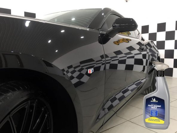 Michelin MC31951 650ml Hızlı Cila - Resim 9