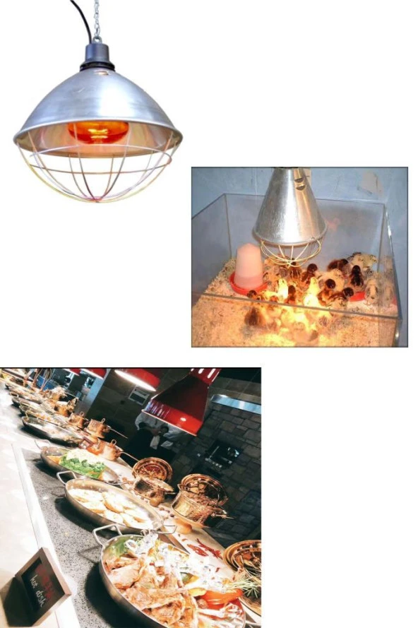 Ledvance 250W Infrared Şeffaf Ampul E27 - Resim 3