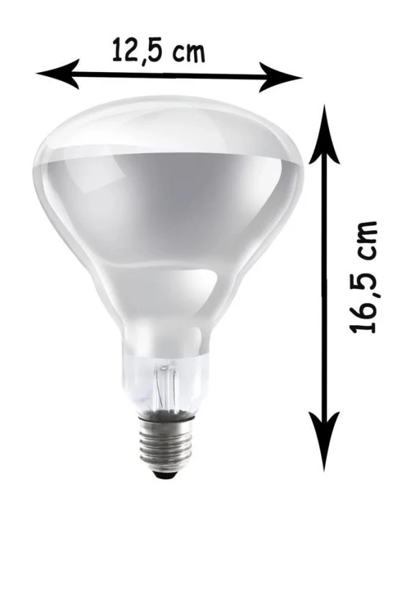 Ledvance 250W Infrared Şeffaf Ampul E27 - Resim 6
