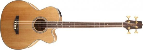 Takamine GB72CE-NAT Akustik Bas Gitar - Resim 2