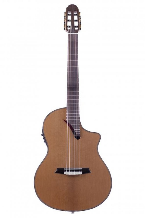 MARTINEZ MS-14M Pre Stage Serisi Klasik Gitar ürün görseli 1