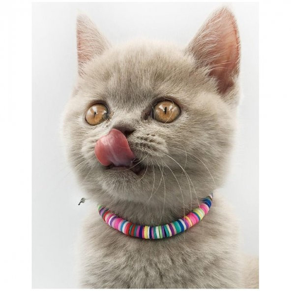Karışık Renk Fimo Boncuk Kedi Tasması ürün görseli 1
