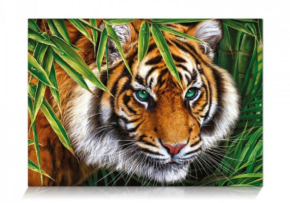 Star Oyun Kaplan Bakışı 500 Parça Puzzle - Resim 2