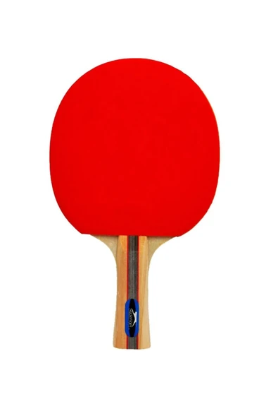 Slazenger Champion ITTF Onaylı Masa Tenisi Raketi ürün görseli 1