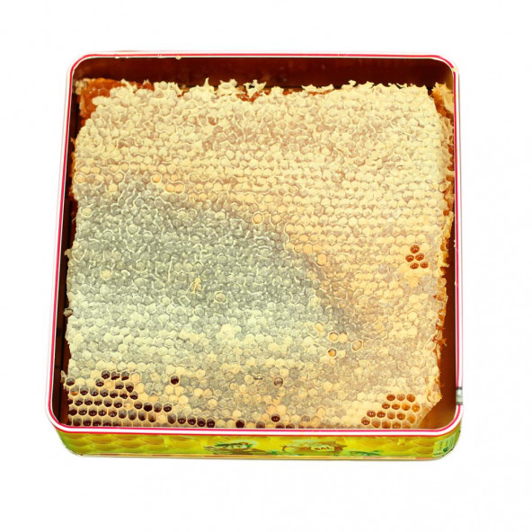 Hizan Petek Balı - Net 1.25 Kg ürün görseli 1