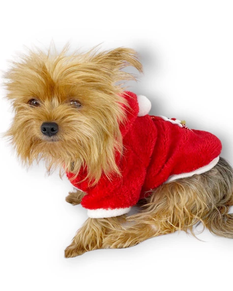 Santa Time Yılbaşı Köpek Sweatshirt, Noel Sweatshirt gold - Resim 11