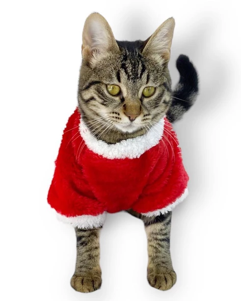 Cat Santa Bow Yılbaşı Kedi Sweati - Resim 4
