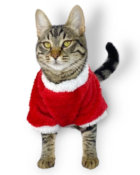 Cat Santa Bow Yılbaşı Kedi Sweati - Resim 6