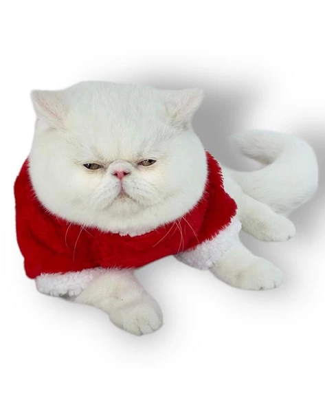 Cat Santa Bow Yılbaşı Kedi Sweati - Resim 7