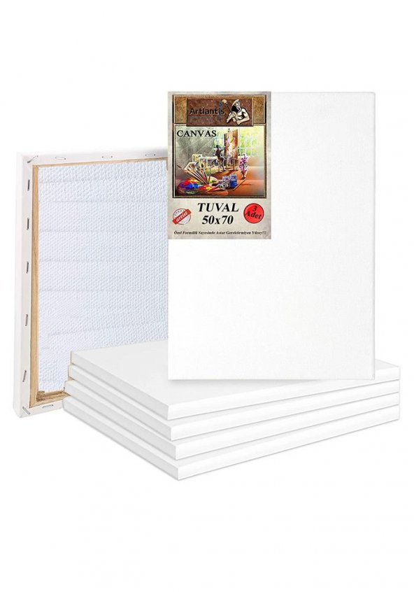 Tuval 50x70 Arkadan Zımbalı Astarlı 3 Adet Resim Tuvali 50*70 Öğrenci Tual Akrilik Boya Yağlı Boya İçin İdeal ürün görseli 1