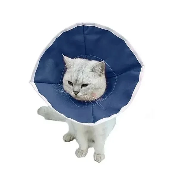 Kedi Yakalığı 18 cm - Resim 3