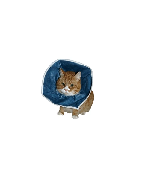 Kedi Yakalığı 18 cm - Resim 2