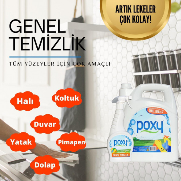 Genel Temizlik 1000 ml 2li Set - Resim 2