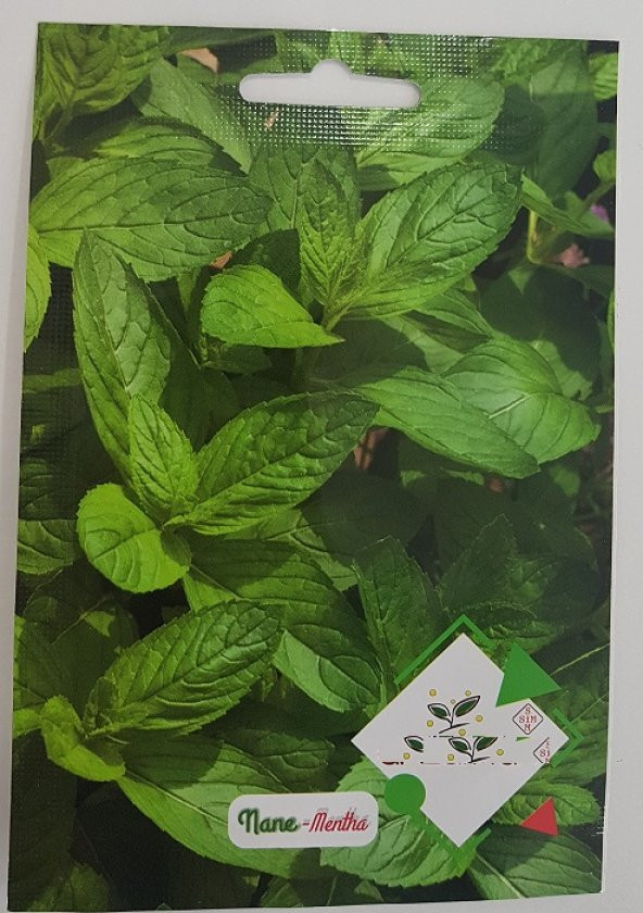 Nane Tohumu 1 Paket 100 Adet Kokulu Nane Tohum Aromalı Nane Tohum ürün görseli 1