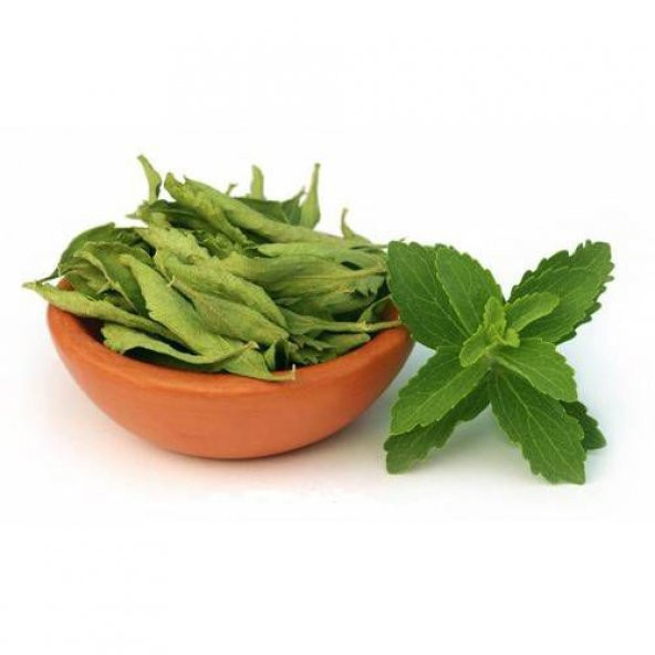 Şeker Otu Tohumu Stevia Tohumu 20 Adet Tohum + Tohum ürün görseli 1