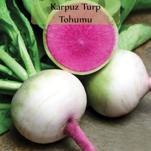 Turp Tohumu 1 Paket 5Gr ürün görseli 1