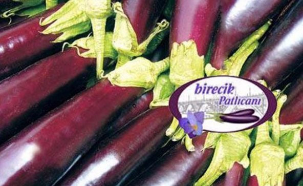 Birecik Patlıcan Tohumu Kurutmalık Patlıcan Tohumu 50 Tohum ürün görseli 1