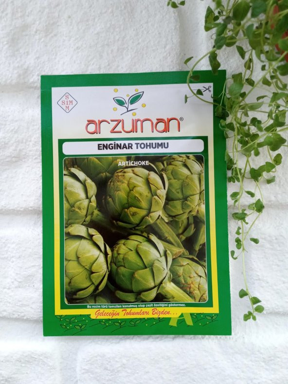Enginar Tohumu 1 Paket 20 Adet Enginar Tohum Sebze Tohumu N11.1416 ürün görseli 1