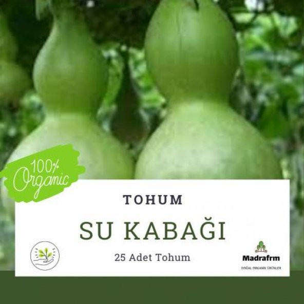 Su Kabağı Tohumu - 25 Adet ürün görseli 1