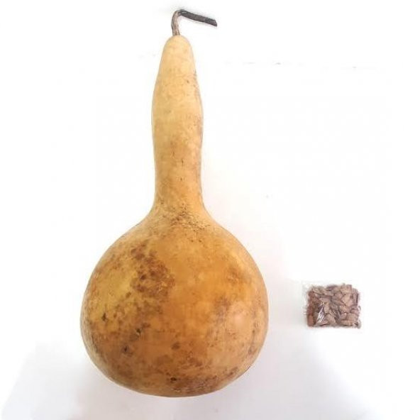 Şu Kabağı Tohumu 5 Adet ürün görseli 1