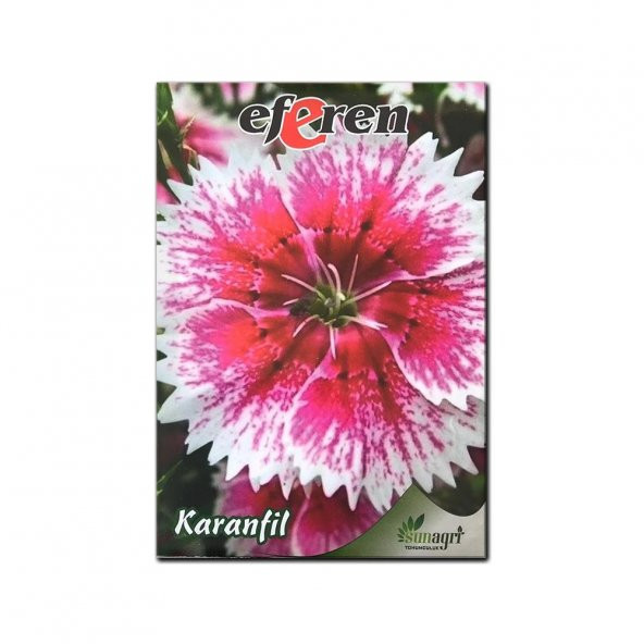 Karanfil Çiçek Tohumu ürün görseli 1
