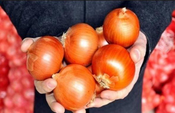 Valanciana Soğan Tohumu 25+ Tohum N11.4209 ürün görseli 1