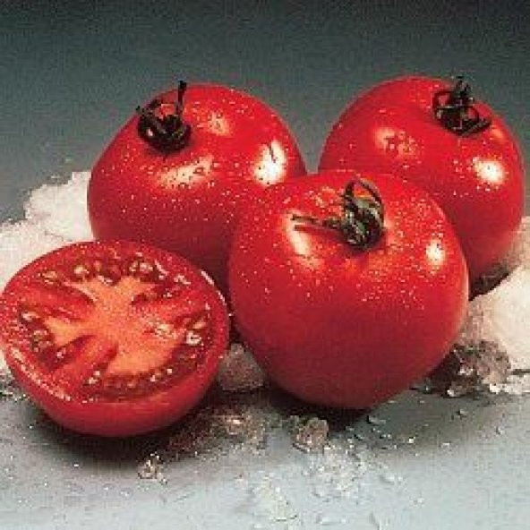 Doğal Floridade Domates Tohumu 20 Tohum ürün görseli 1
