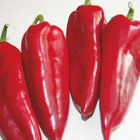 Doğal Verimli Etli Yalova Kapya Biber Tohumu 10 Gram ürün görseli 1