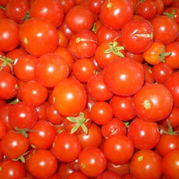 Domates Çeri Boncuk Bebek Domatesi Tohumu 10 Adt ürün görseli 1