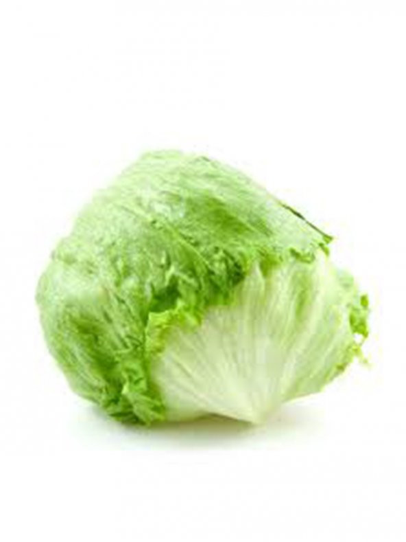 İthal Göbek Marul Iceberg 100 Ad. Tohum ürün görseli 1