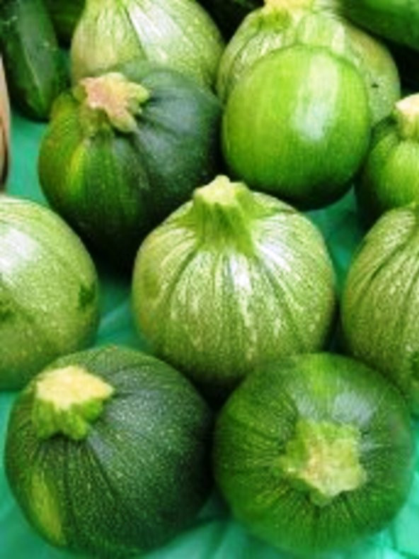Doğal Topak Kara Kabak Tohumu Karatopak 20 Ad. Tohum ürün görseli 1
