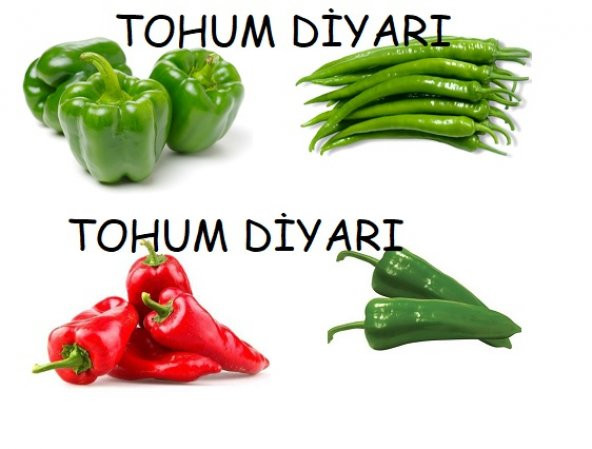 4 Çeşit Biber Seti 500+ Tohum ürün görseli 1