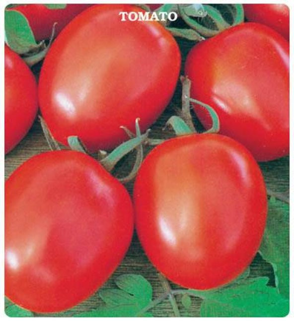Domates Tohumu H-2274 2 Gram ürün görseli 1