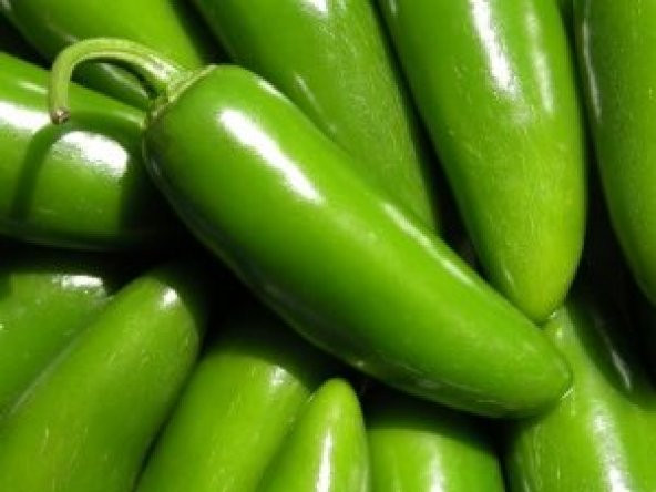 10+ Jalapeno Tam Acı Biber Tohumu N11.2810 ürün görseli 1